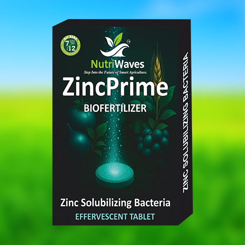 ZincPrime Biofertiliser – Zinc Solubilising Bacteria (Effervescent Tablet)