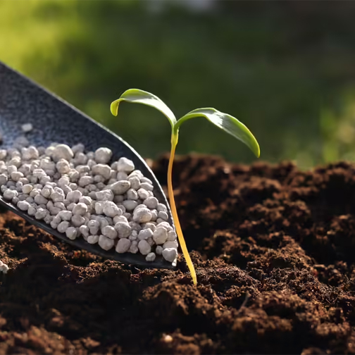 Soil Health Solution in Nashik